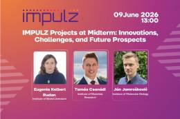 IMPULZ Projects at Midterm: Interim Results, Challenges,...